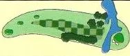 Legendary Oaks Hole 4 illustration